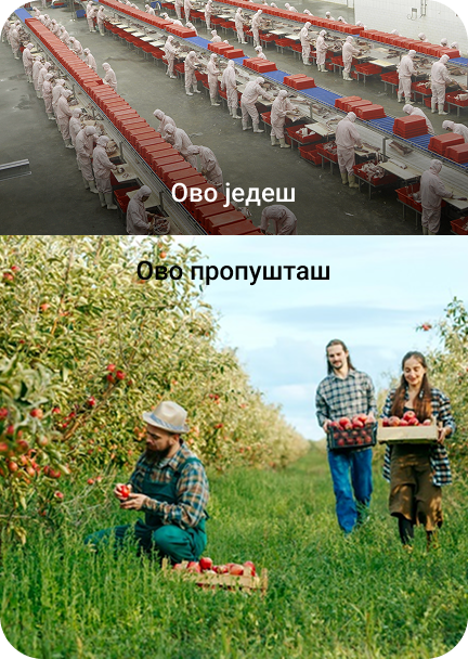 Koreni Srbije